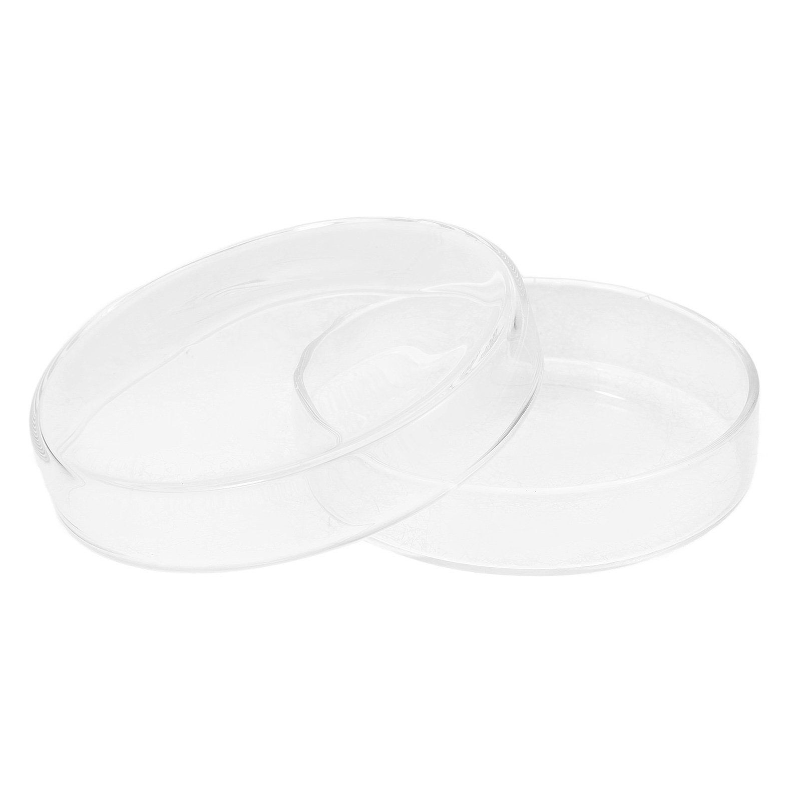 Agar Tissue Culture - High Borosilicate Glass Petri Dish Tissue