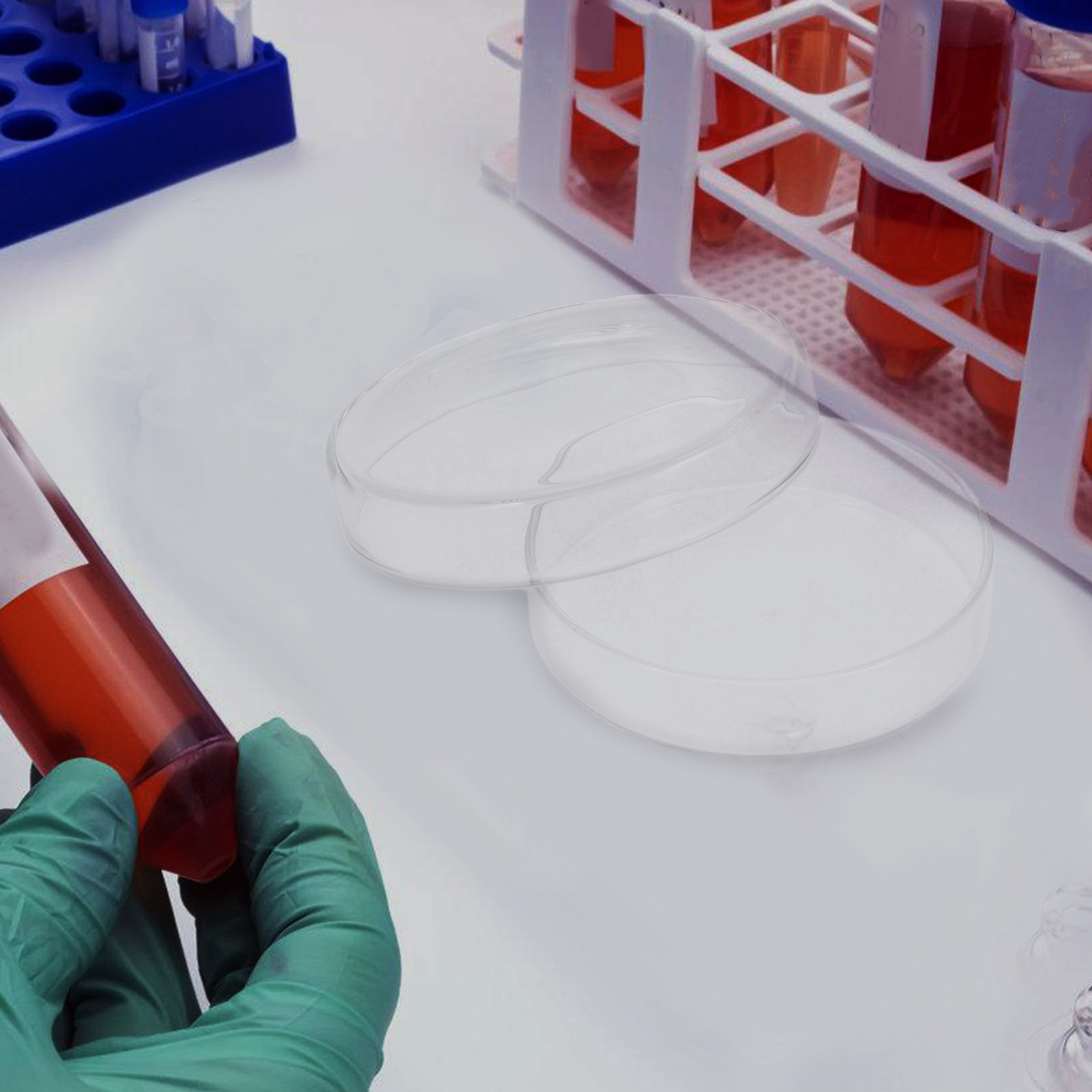 High Borosilicate Glass Petri  - Agar Tissue Culture review and price