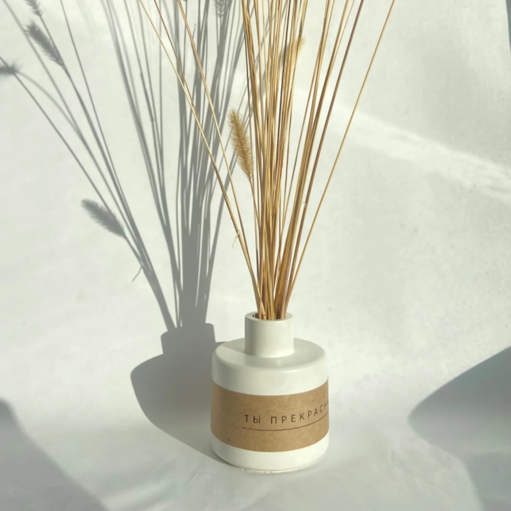 Fragrance Bottle Clay Silicone - Misting Bottle Fine review and price
